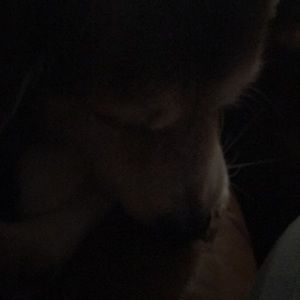 Meet your Posher, Carol